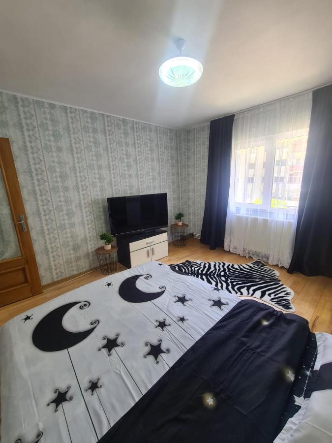 Garsoniera Slanic-Moldova Daire Dış mekan fotoğraf